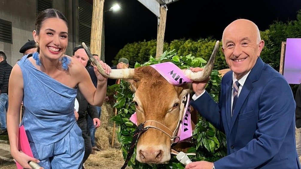 'Navarra', la vaca de Lugo que ganó Miss Vaca 2024. //  X